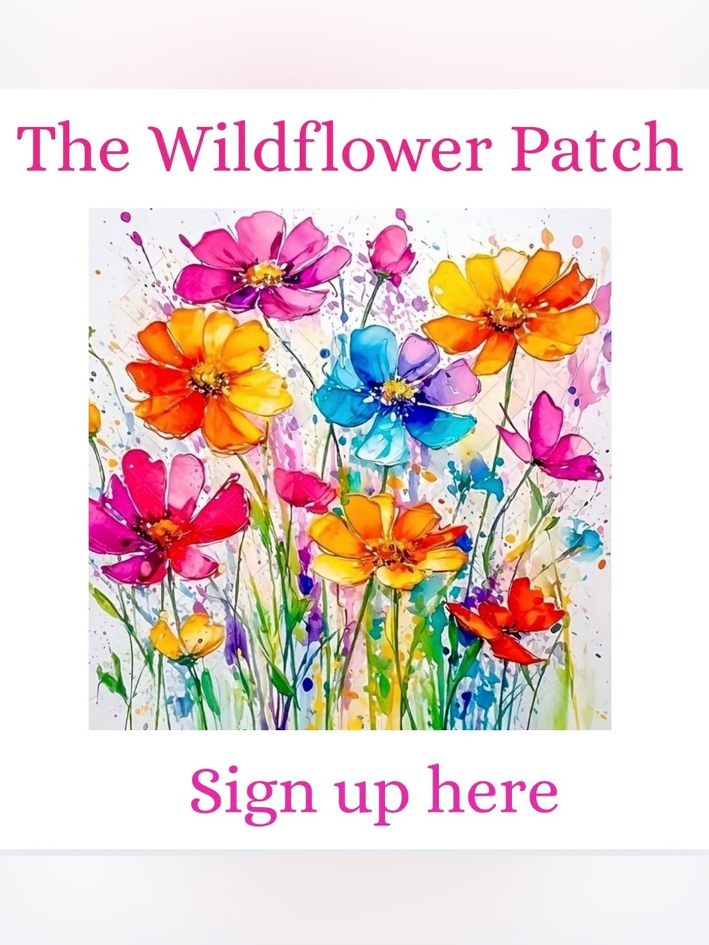 💐8/18-8/24💐9 Wildflowers!💐